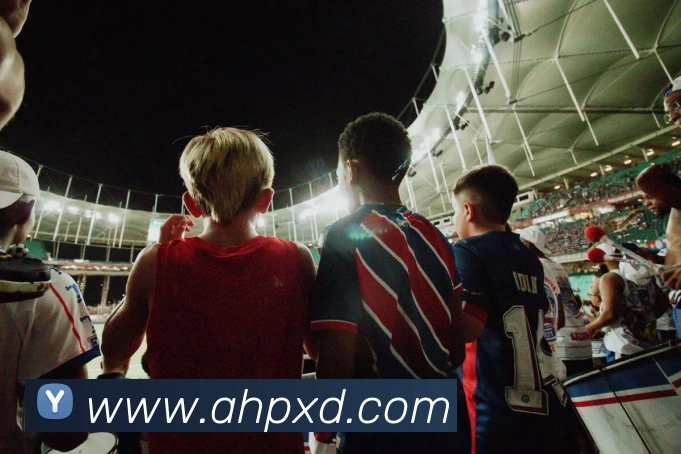 开云app官方版入口app发展历程